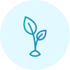 Growing plant icon